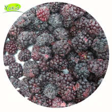 Hot Sale China Price Mixed Berries Calibrated Bulk IQF Frozen Blackberry